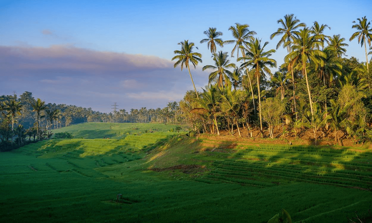 A Modern 7 Day Soul Retreat in Bali – A Template for Living an Authentic Life of Truth